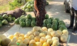 热点吃瓜,吃瓜群众如何解读明星事件